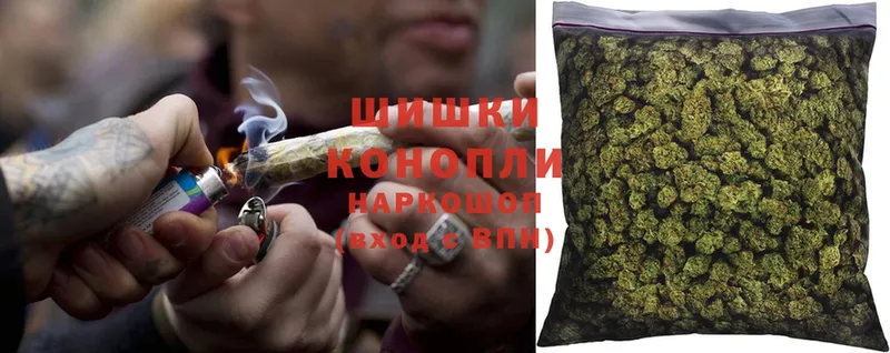 что такое   Зубцов  Канабис White Widow 